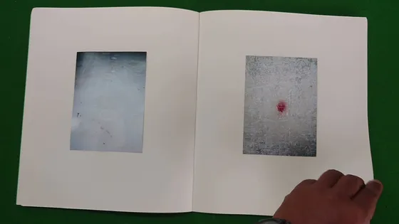 Hill of Poisonous Trees — spread, a mark and a red dot