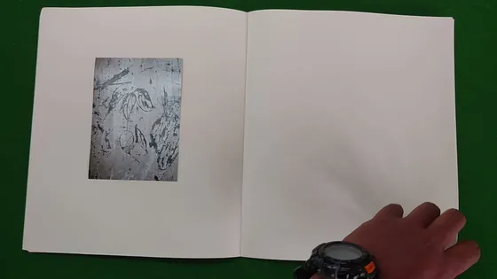 Hill of Poisonous Trees — spread, crude carved figures