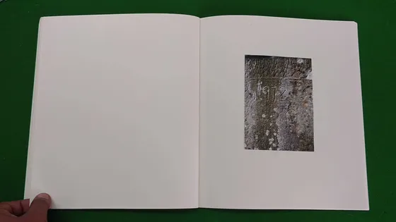 Hill of Poisonous Trees — spread, a dark mark