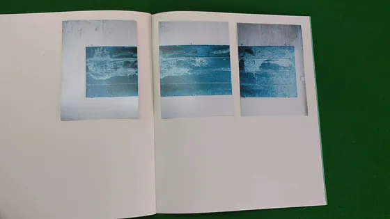Hill of Poisonous Trees — spread, two images of water