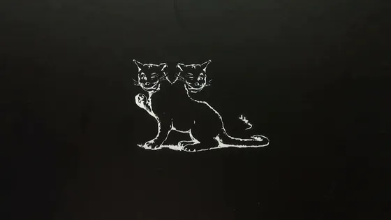 Joker — cover, a two-headed cat drawn on black