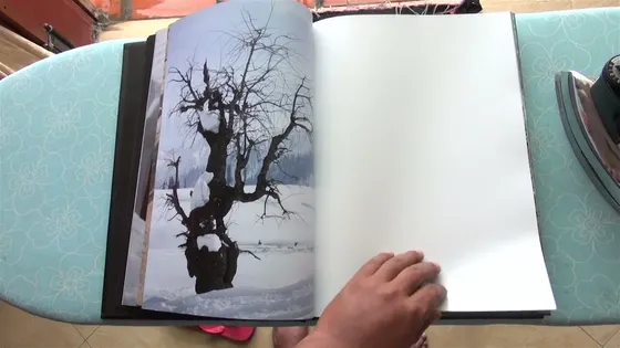 Joker — spread, a bare tree
