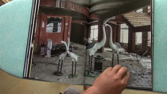 Joker — spread, metal bird sculptures in a ruined interior