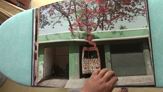 Joker — spread, a house facade and a flowering tree